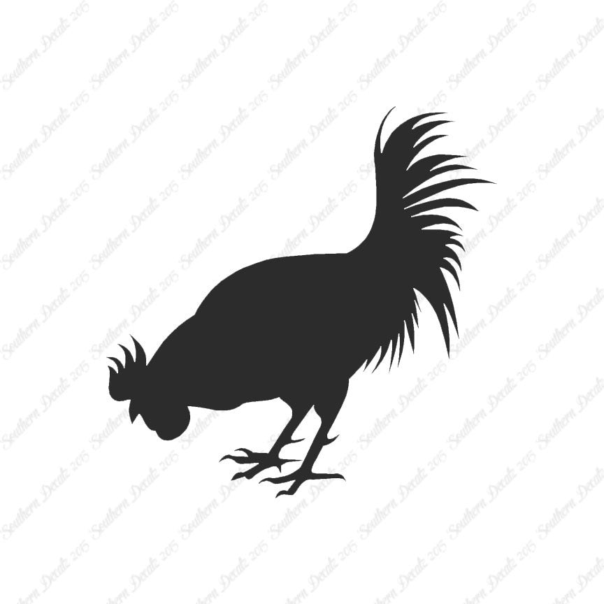 Chicken Rooster Poultry