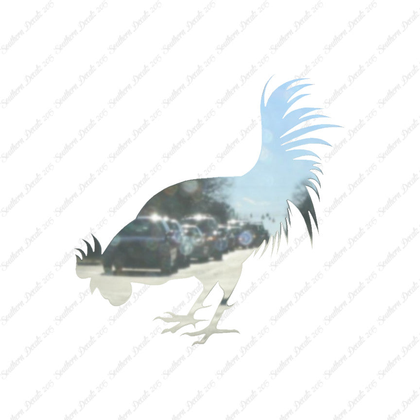 Chicken Rooster Poultry