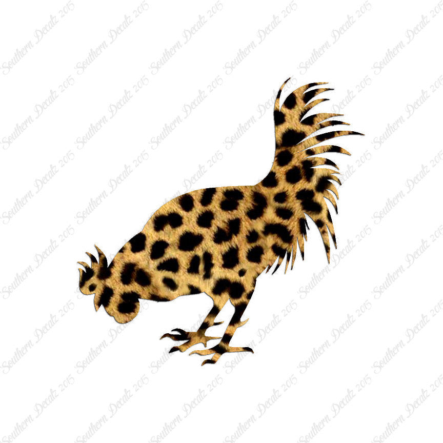 Chicken Rooster Poultry