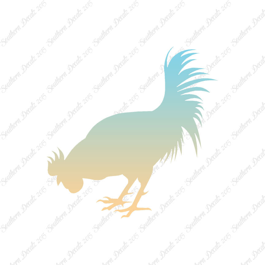 Chicken Rooster Poultry