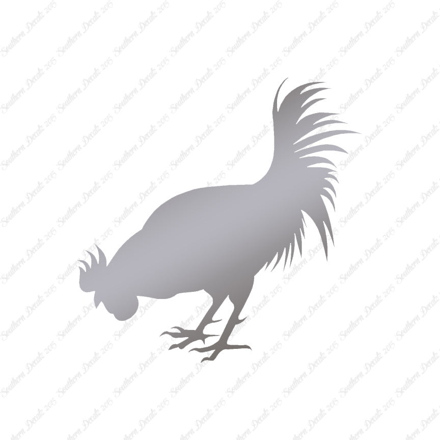 Chicken Rooster Poultry