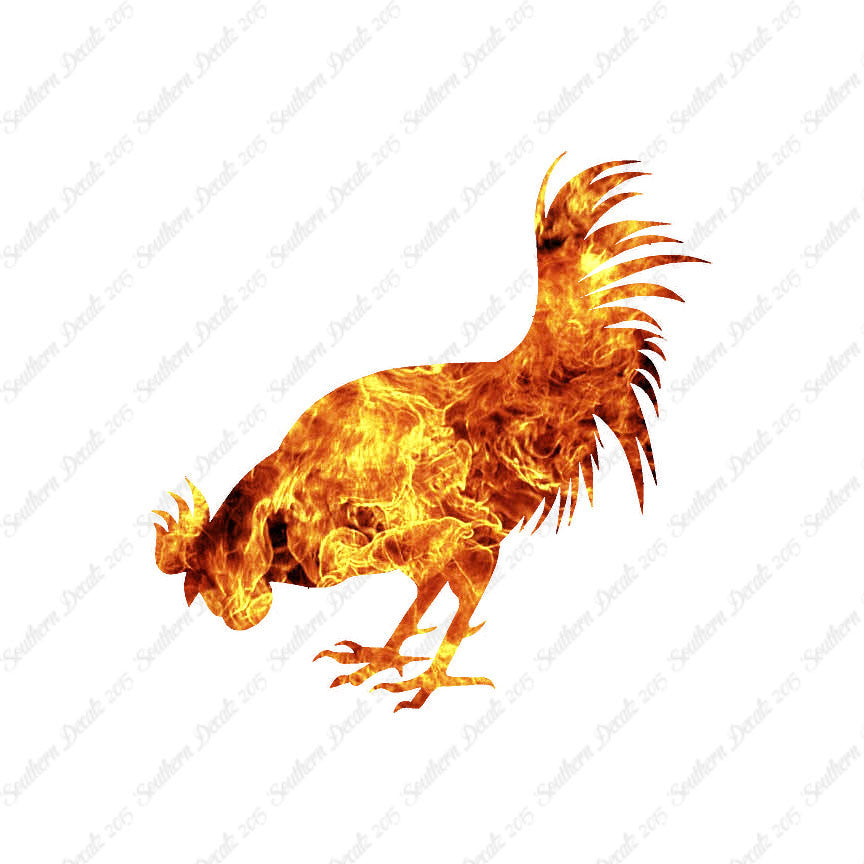 Chicken Rooster Poultry