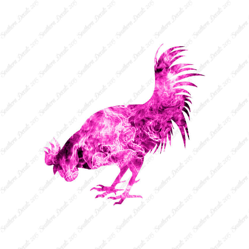 Chicken Rooster Poultry