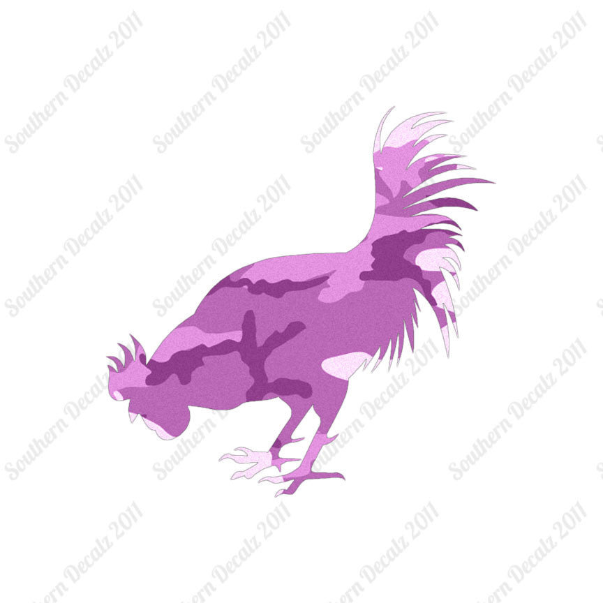Chicken Rooster Poultry