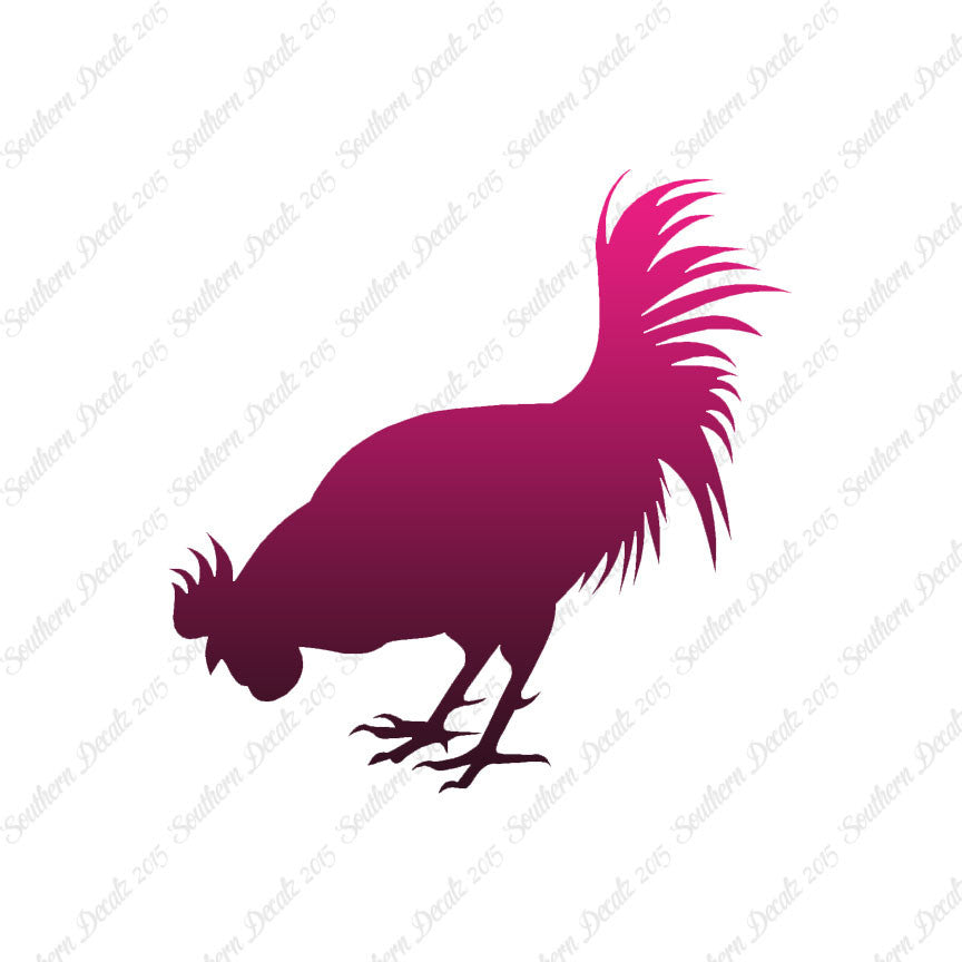Chicken Rooster Poultry