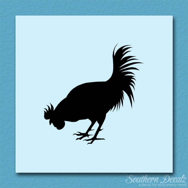 Chicken Rooster Poultry