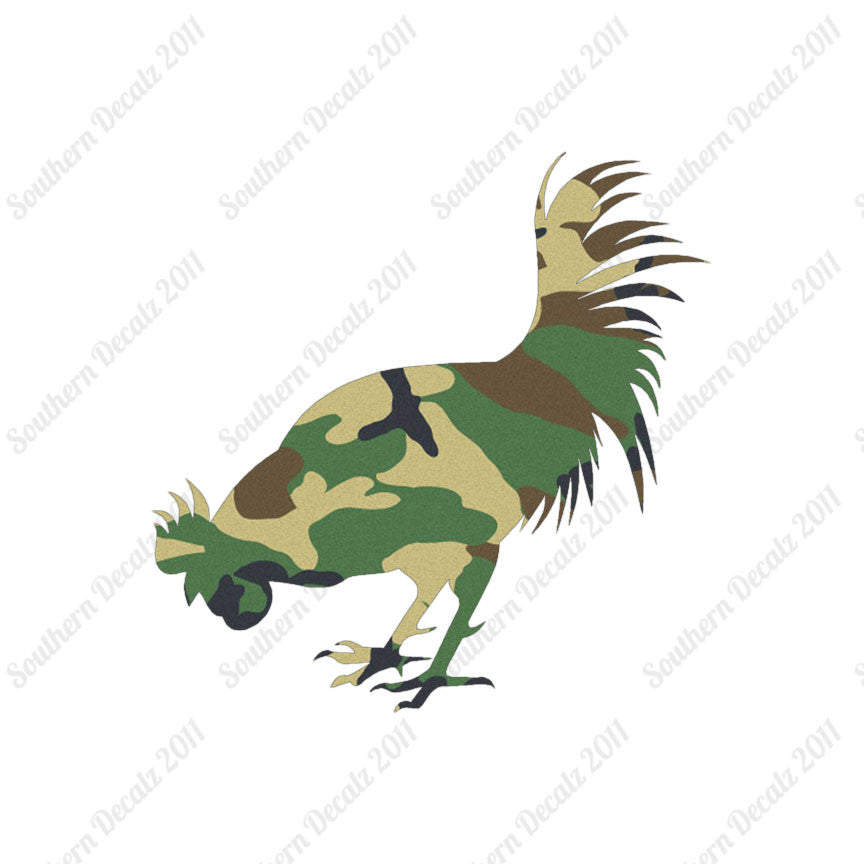 Chicken Rooster Poultry