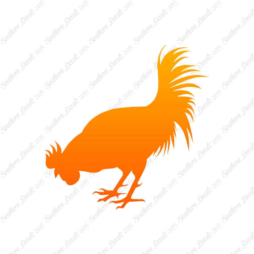 Chicken Rooster Poultry