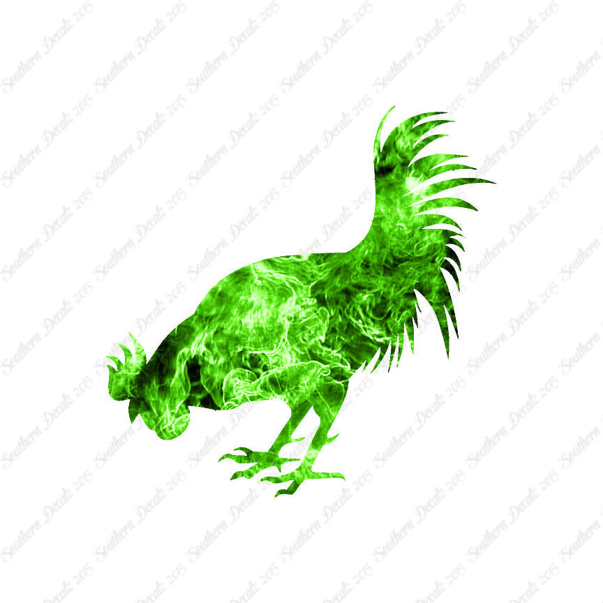 Chicken Rooster Poultry