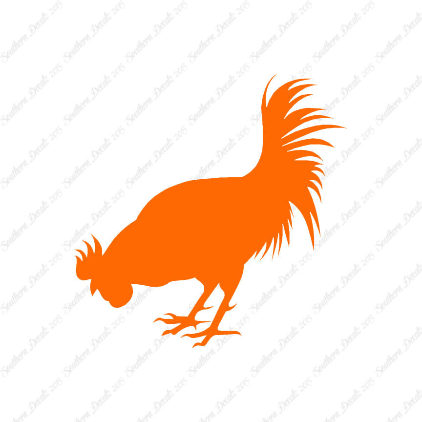 Chicken Rooster Poultry