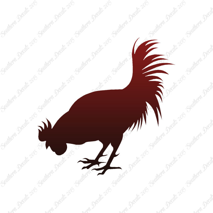 Chicken Rooster Poultry