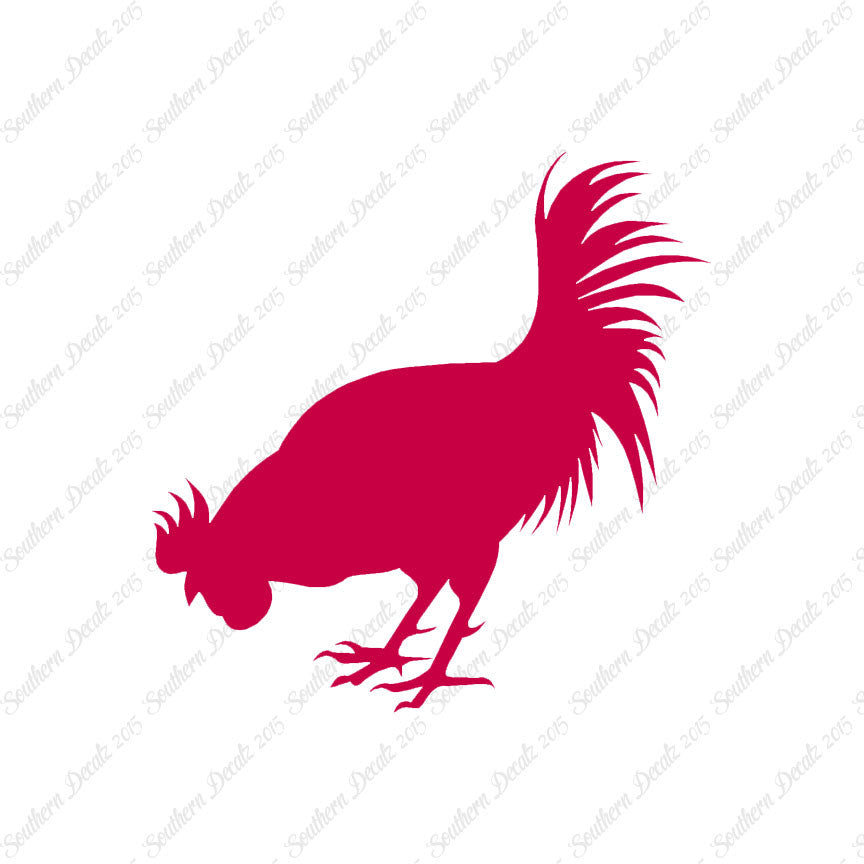 Chicken Rooster Poultry
