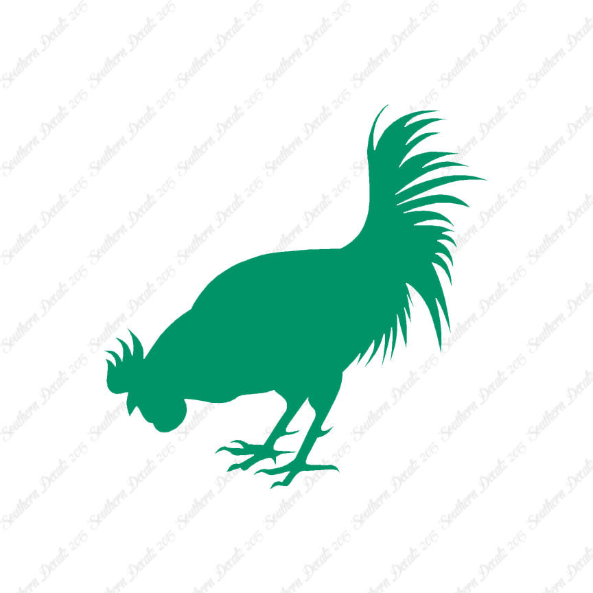 Chicken Rooster Poultry