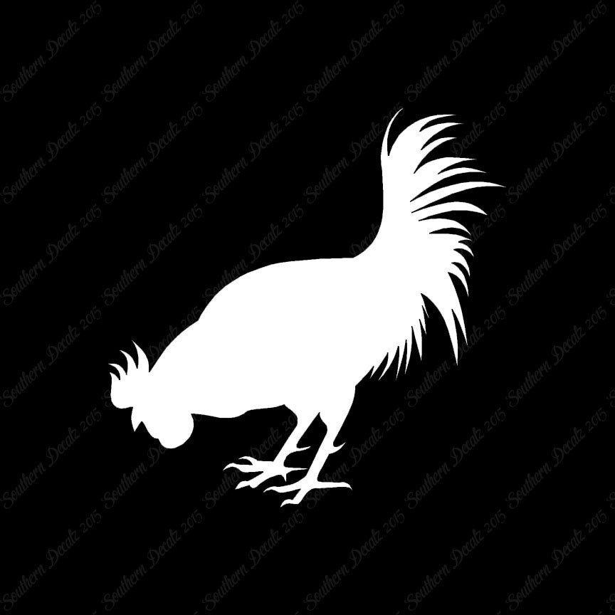 Chicken Rooster Poultry