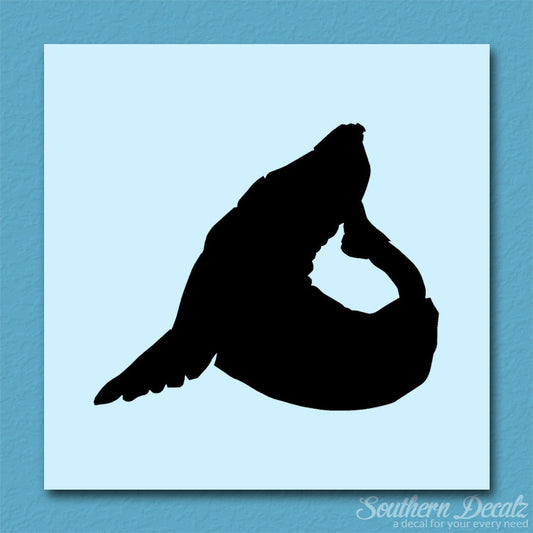 Sea Lion Seal