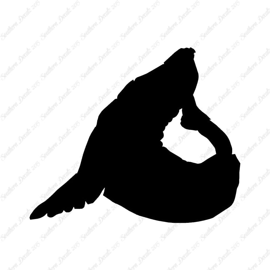 Sea Lion Seal