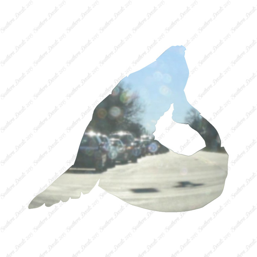 Sea Lion Seal
