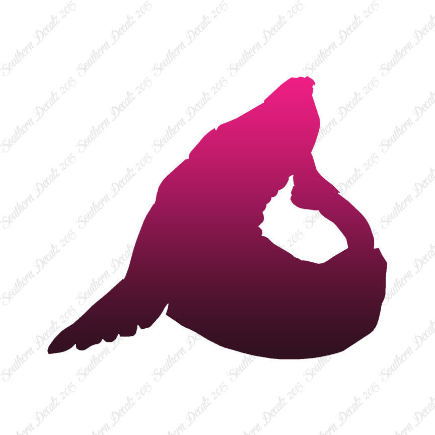 Sea Lion Seal