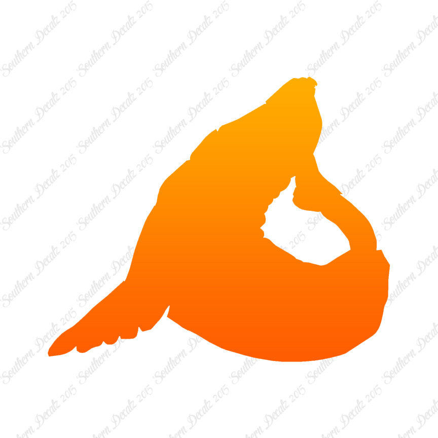 Sea Lion Seal
