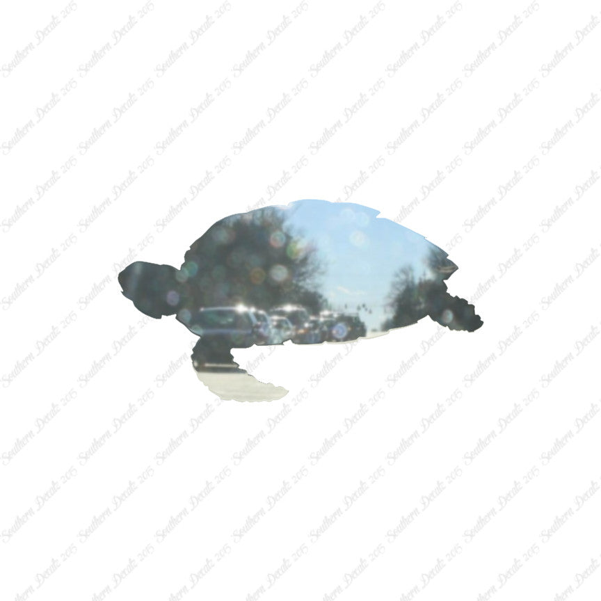 Sea Turtle Tortoise