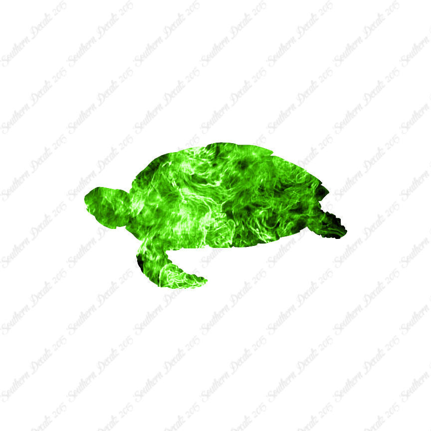 Sea Turtle Tortoise