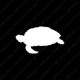 Sea Turtle Tortoise