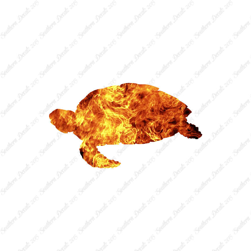 Sea Turtle Tortoise