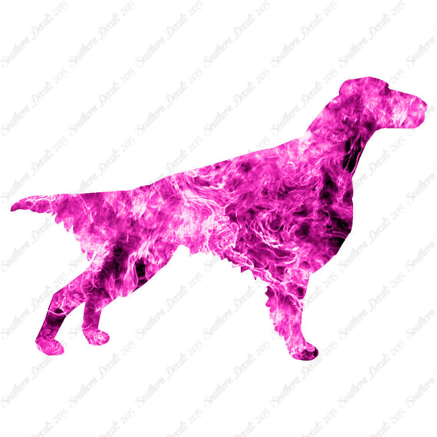 Setter Dog Breed