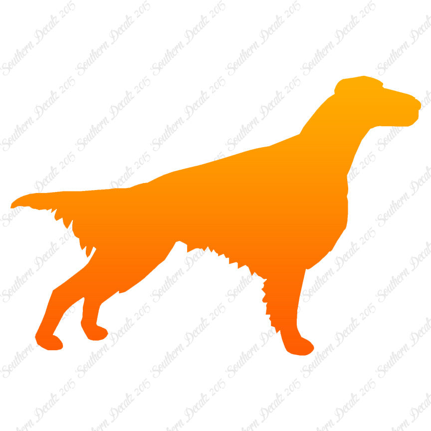 Setter Dog Breed