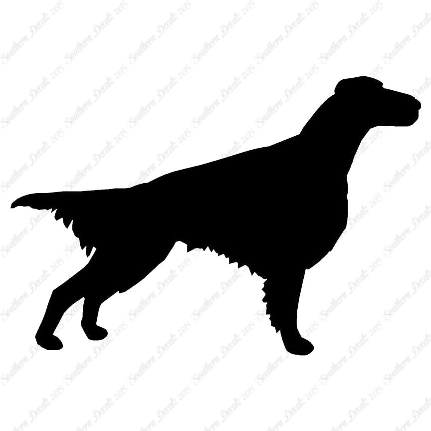 Setter Dog Breed