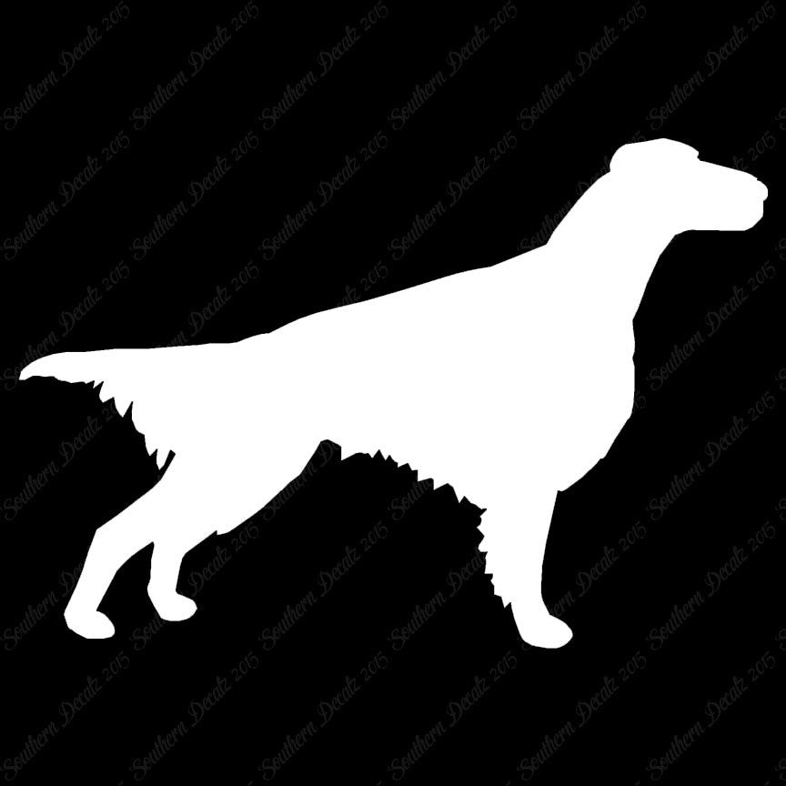 Setter Dog Breed