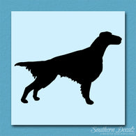 Setter Dog Breed