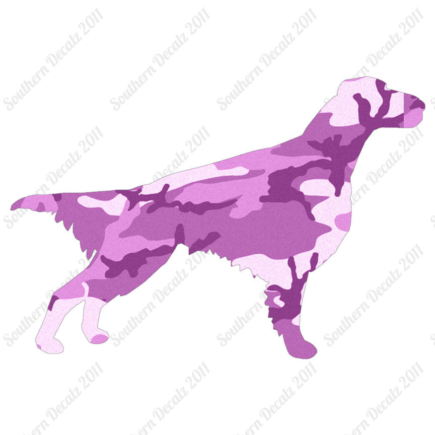 Setter Dog Breed
