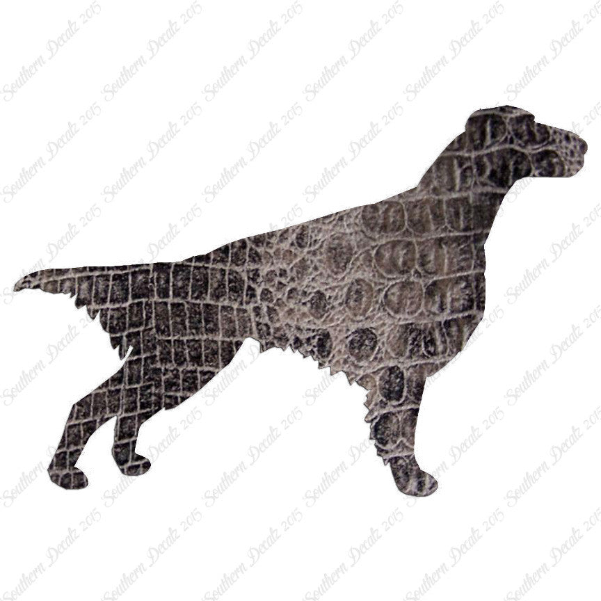 Setter Dog Breed