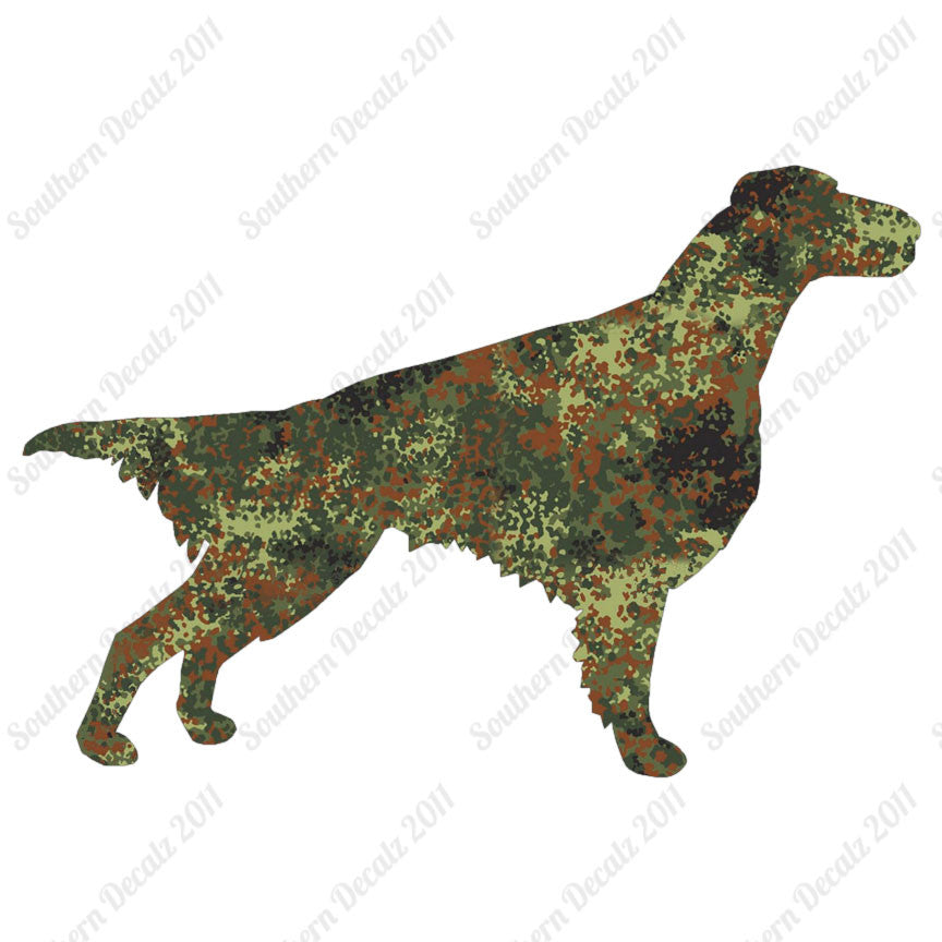 Setter Dog Breed