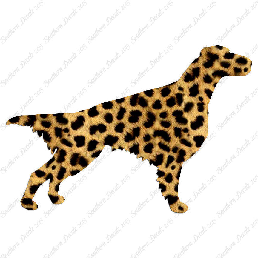 Setter Dog Breed