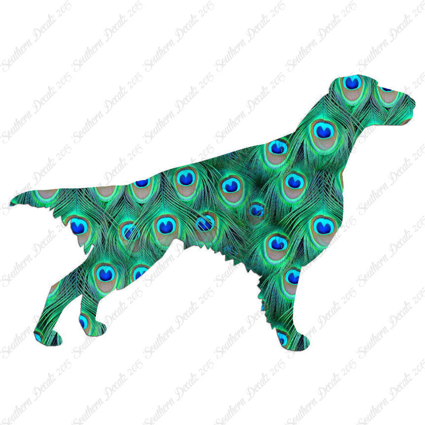 Setter Dog Breed