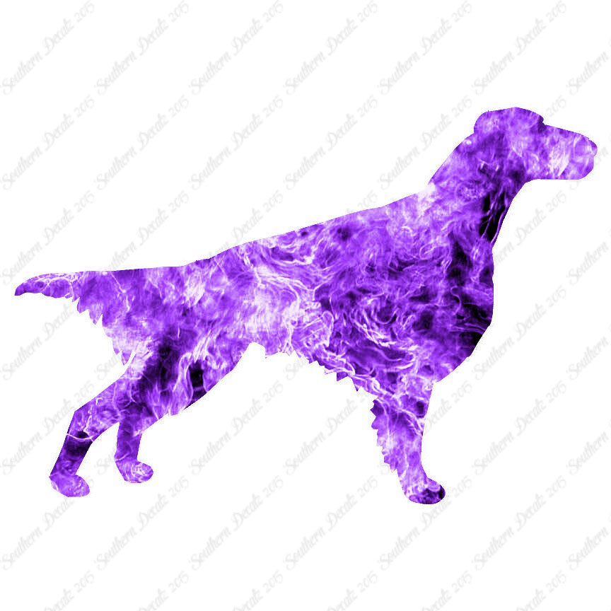 Setter Dog Breed