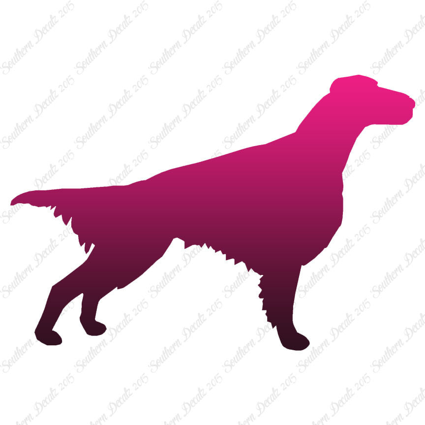 Setter Dog Breed