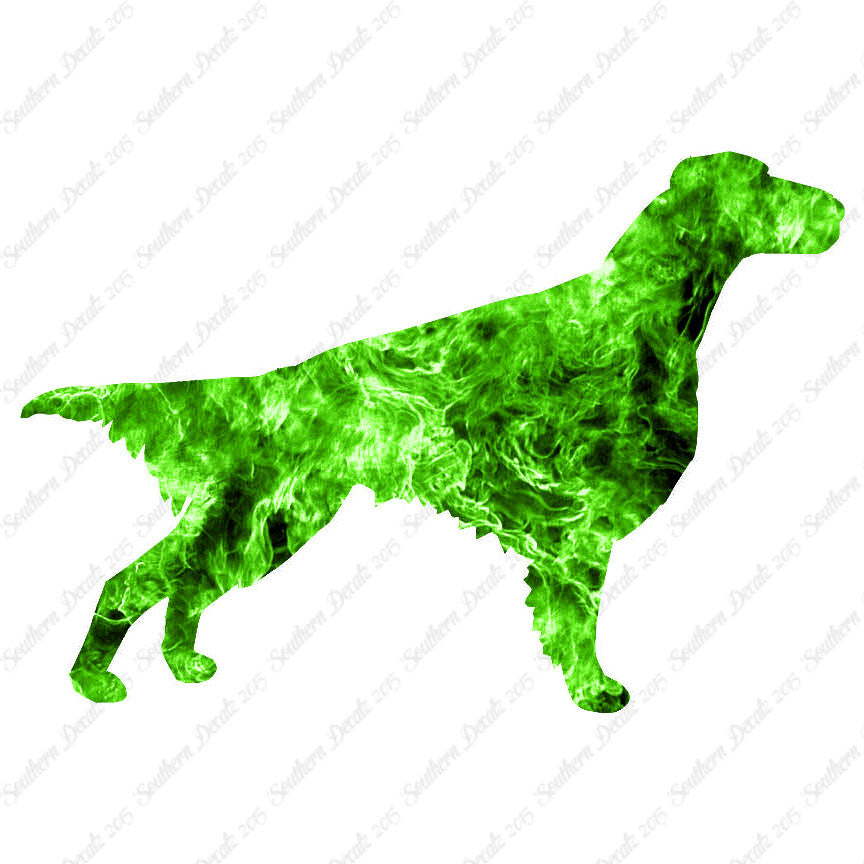 Setter Dog Breed
