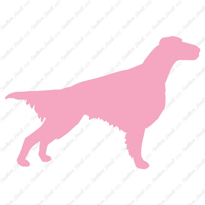 Setter Dog Breed