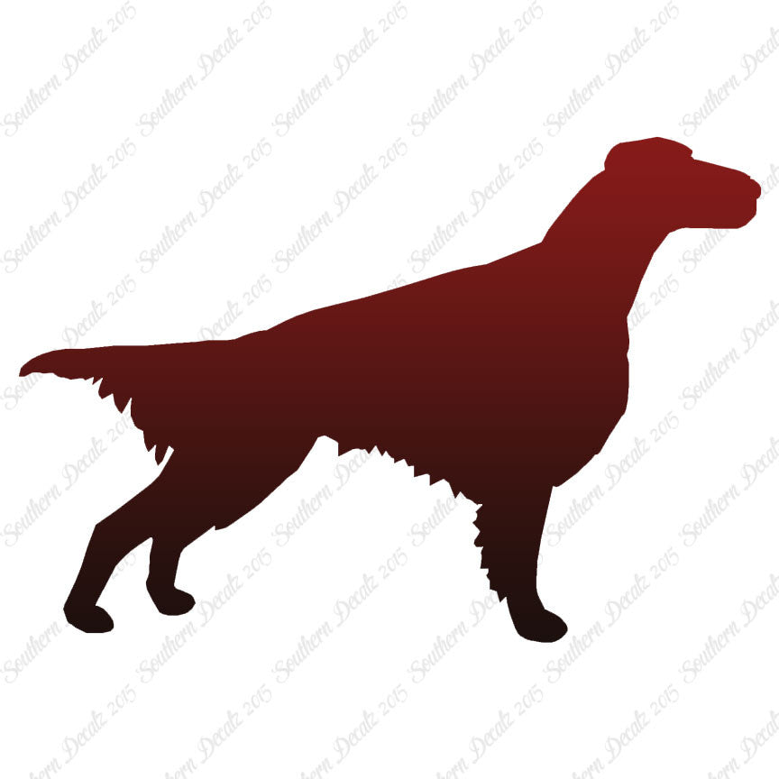 Setter Dog Breed