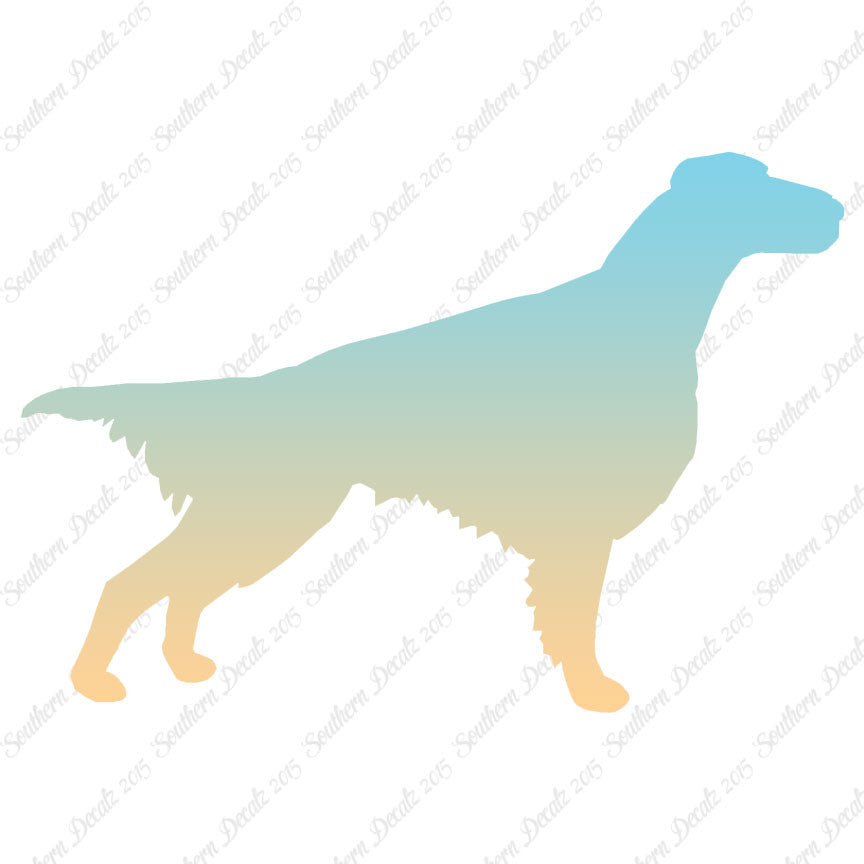 Setter Dog Breed