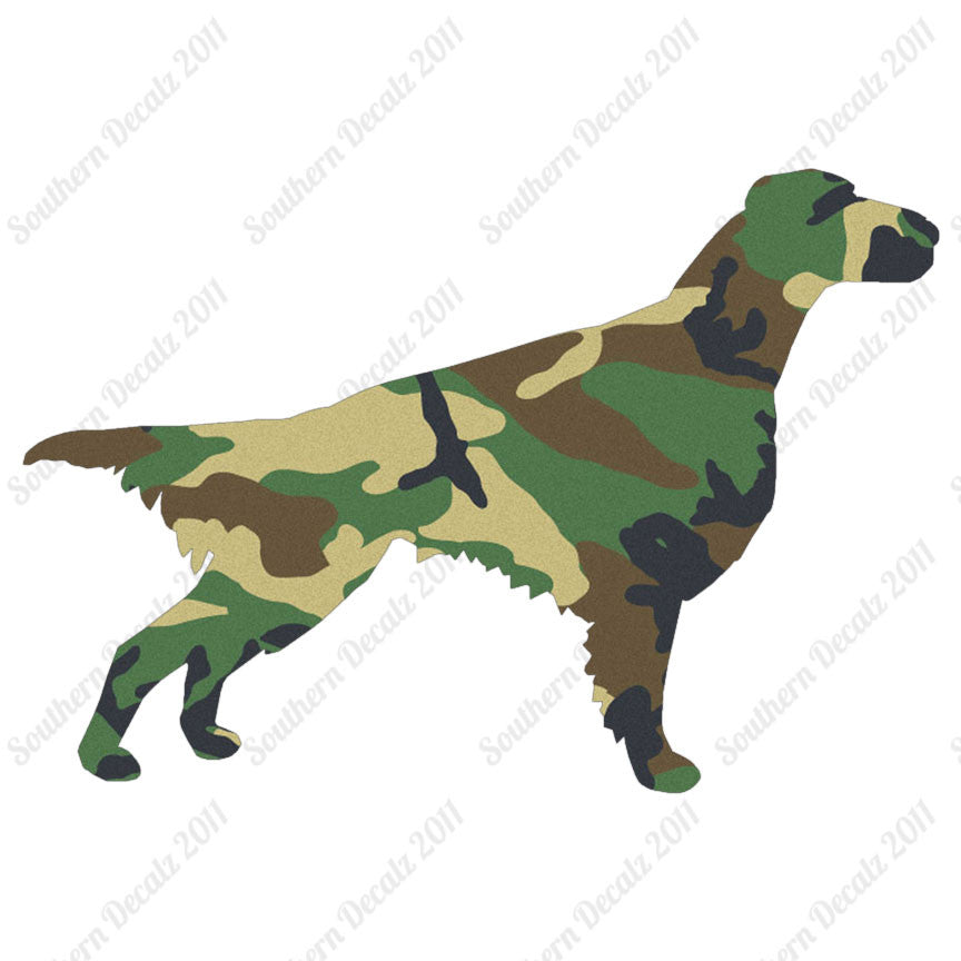 Setter Dog Breed