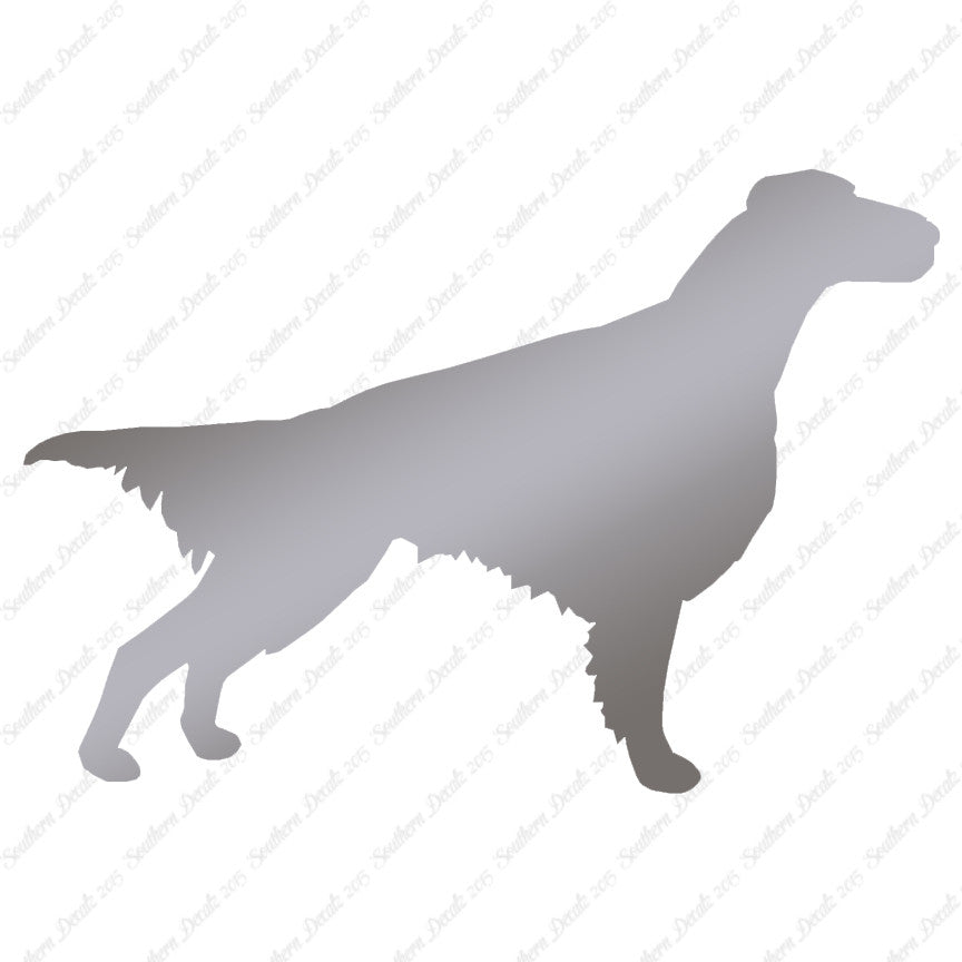 Setter Dog Breed