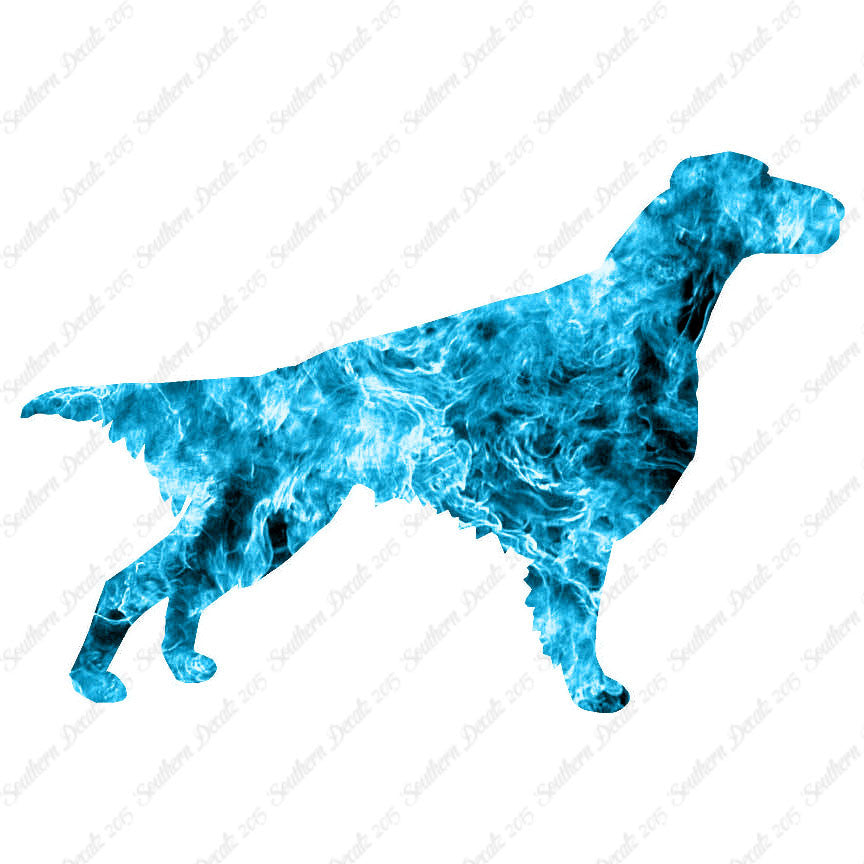 Setter Dog Breed