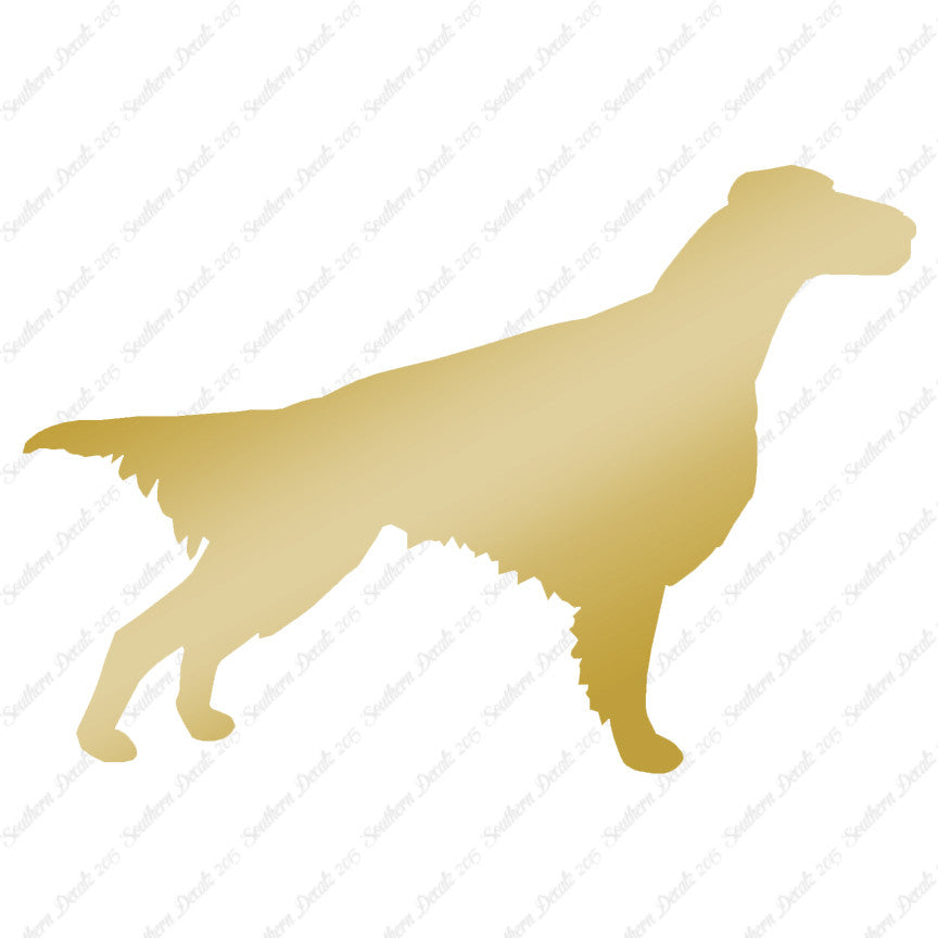 Setter Dog Breed