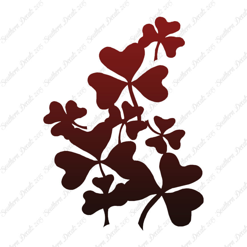 Shamrocks Irish Clover