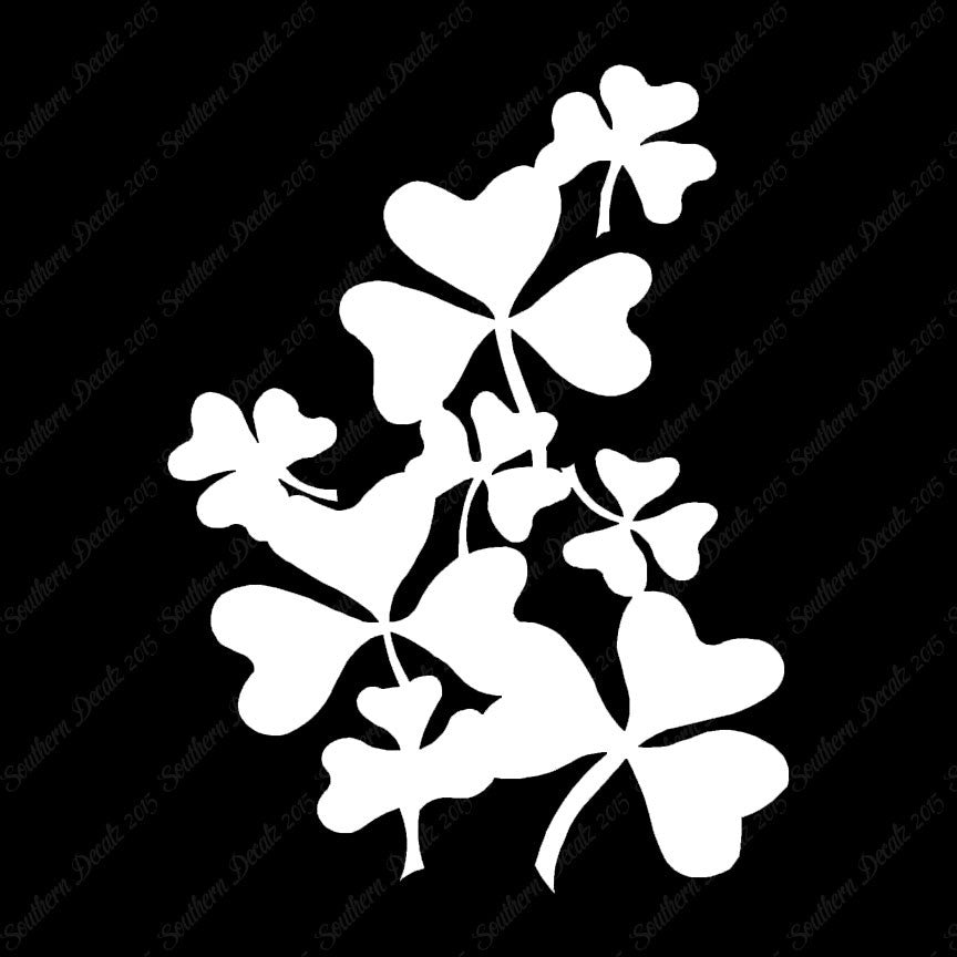 Shamrocks Irish Clover