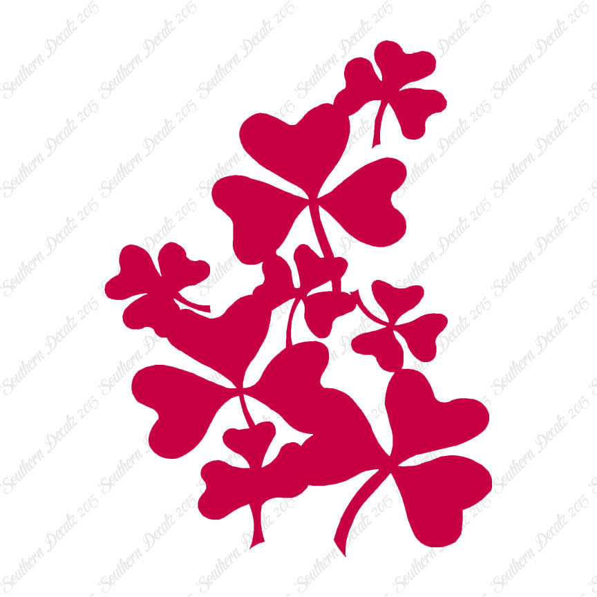 Shamrocks Irish Clover